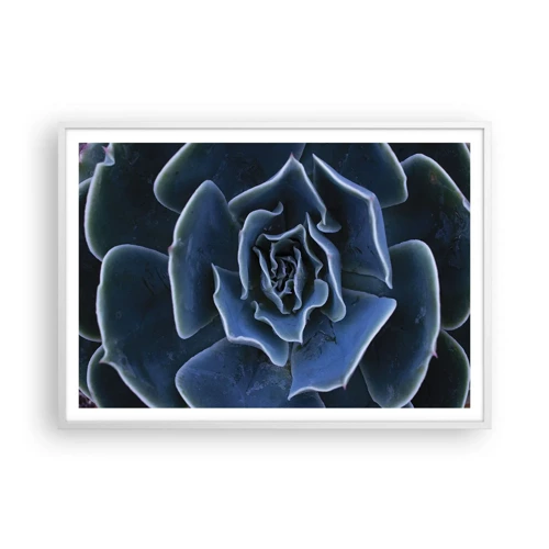 Poster in white frmae - Flower of the Desert - 100x70 cm