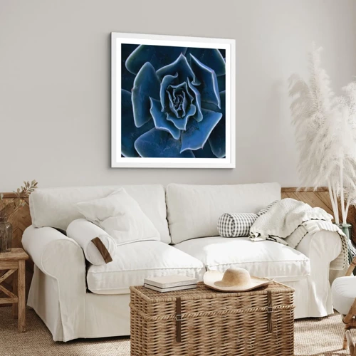 Poster in white frmae - Flower of the Desert - 30x30 cm