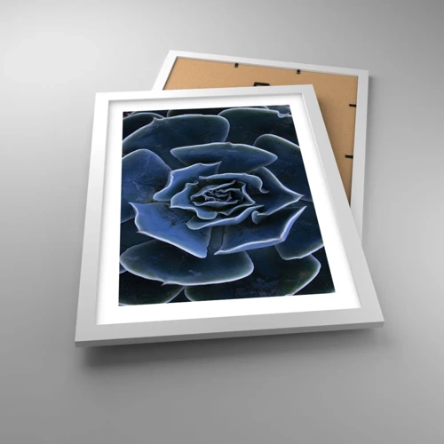 Poster in white frmae - Flower of the Desert - 30x40 cm