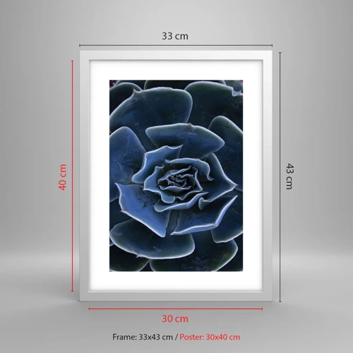 Poster in white frmae - Flower of the Desert - 30x40 cm