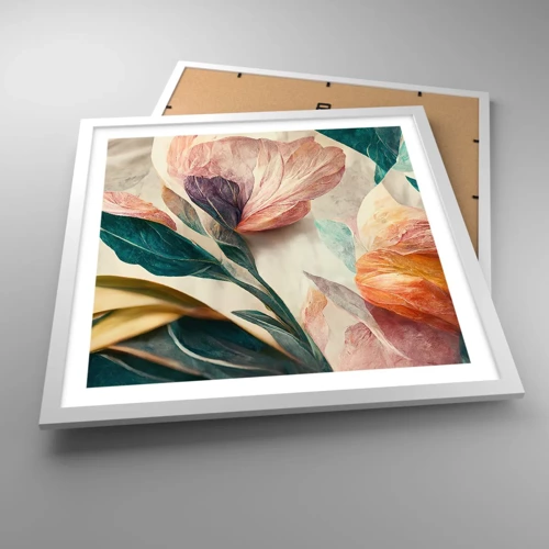 Poster in white frmae - Flowers of Southern Islands - 50x50 cm