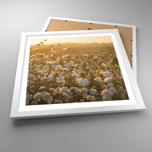 Poster in white frmae - Fluffy Field - 40x40 cm