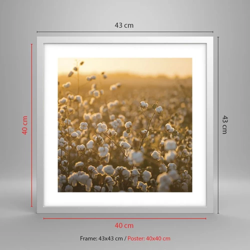 Poster in white frmae - Fluffy Field - 40x40 cm