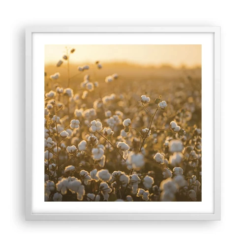 Poster in white frmae - Fluffy Field - 50x50 cm