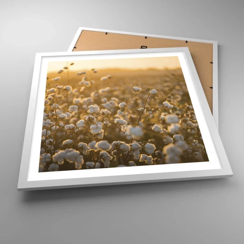 Poster in white frmae - Fluffy Field - 50x50 cm