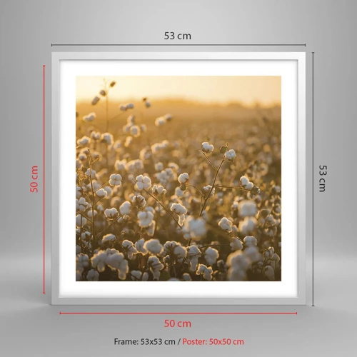 Poster in white frmae - Fluffy Field - 50x50 cm