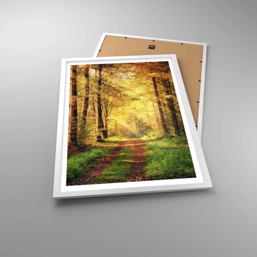 Poster in white frmae - Forest Golden silence - 50x70 cm