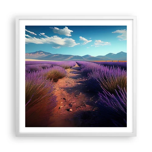 Poster in white frmae - Fragrant Fields - 60x60 cm