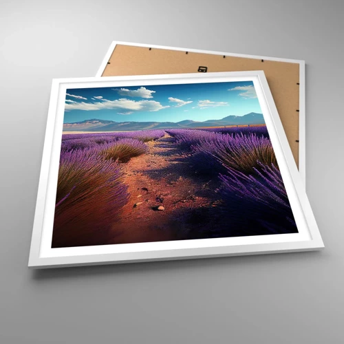 Poster in white frmae - Fragrant Fields - 60x60 cm