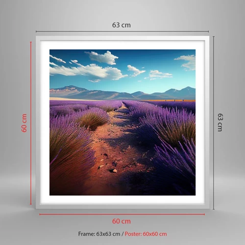 Poster in white frmae - Fragrant Fields - 60x60 cm