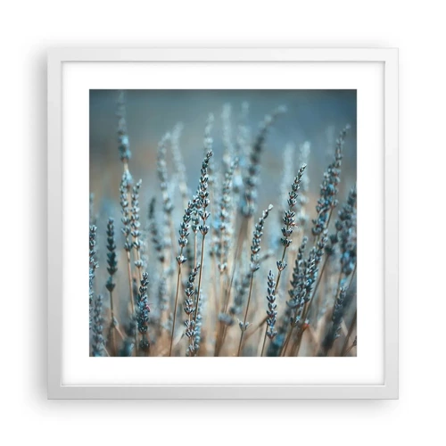 Poster in white frmae - Fragrant Grass - 40x40 cm