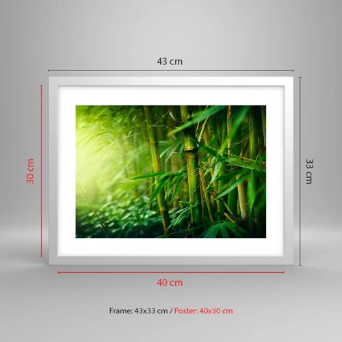 Poster in white frmae - Getting to Know the Green - 40x30 cm