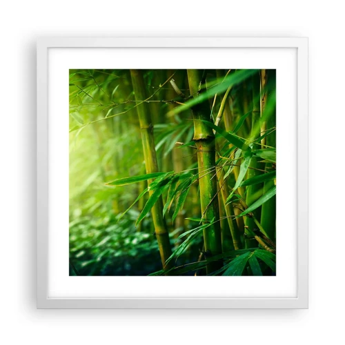 Poster in white frmae - Getting to Know the Green - 40x40 cm