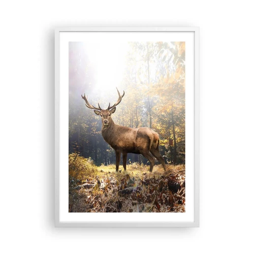 Poster in white frmae - In Full Majesty - 50x70 cm