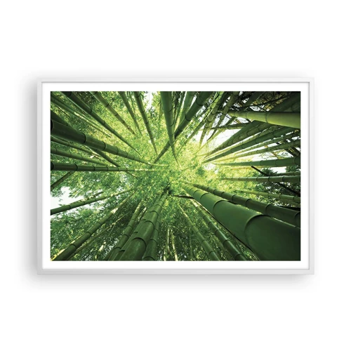 Poster in white frmae - In a Bamboo Forest - 100x70 cm