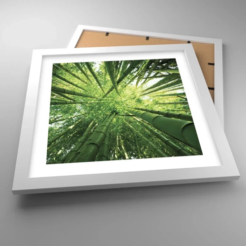 Poster in white frmae - In a Bamboo Forest - 30x30 cm