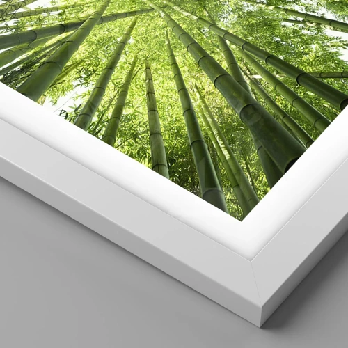 Poster in white frmae - In a Bamboo Forest - 40x30 cm