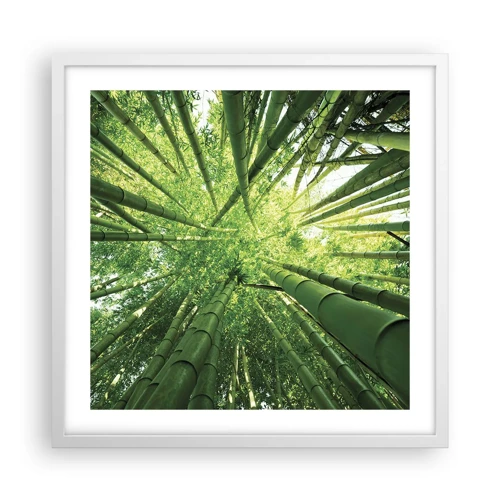 Poster in white frmae - In a Bamboo Forest - 50x50 cm