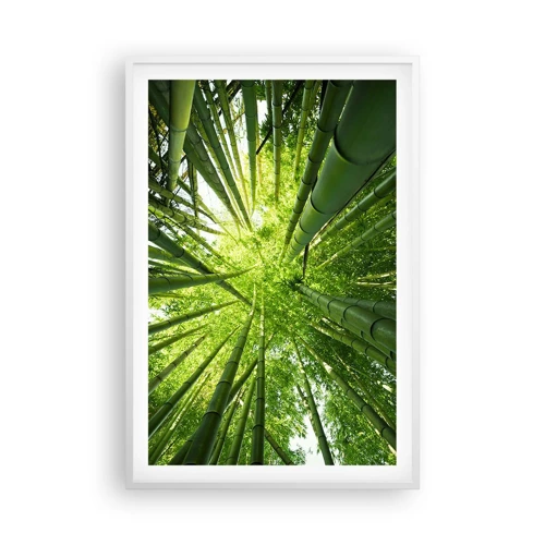 Poster in white frmae - In a Bamboo Forest - 61x91 cm