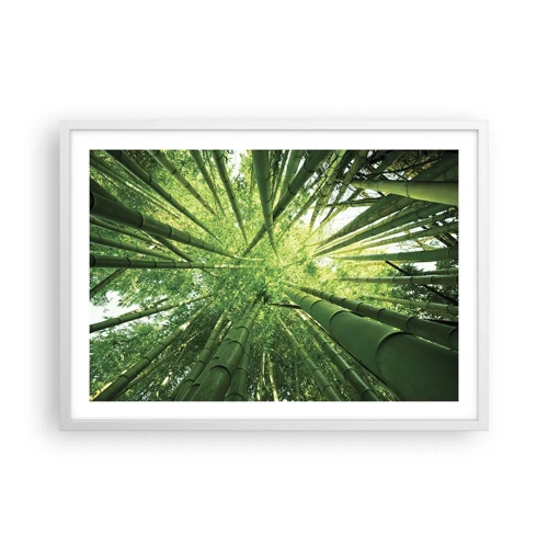 Poster in white frmae - In a Bamboo Forest - 70x50 cm