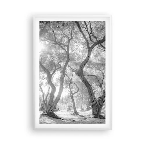 Poster in white frmae - In an Olive Grove - 61x91 cm