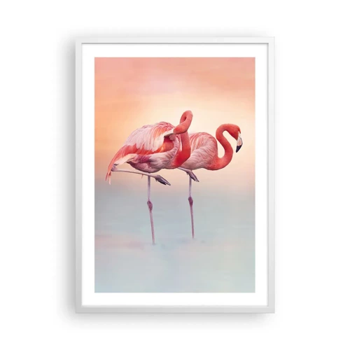 Poster in white frmae - In the Colour Of Sunset - 50x70 cm