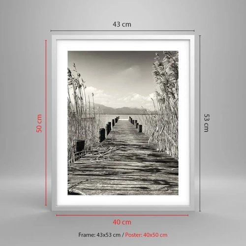 Poster in white frmae - In the Grass - 40x50 cm