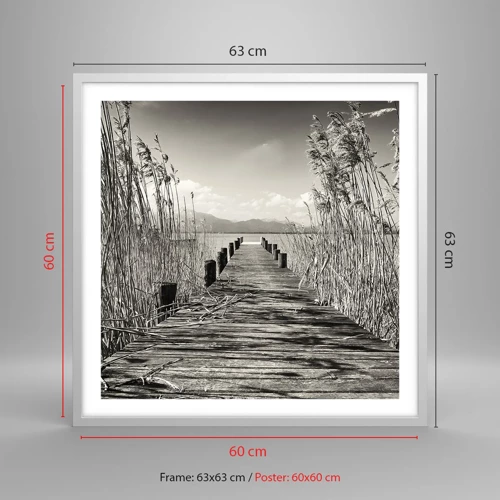 Poster in white frmae - In the Grass - 60x60 cm