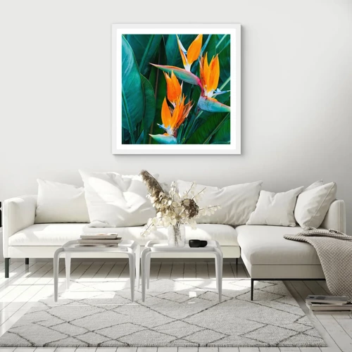 Poster in white frmae - Is It a Flower or a Bird? - 30x30 cm