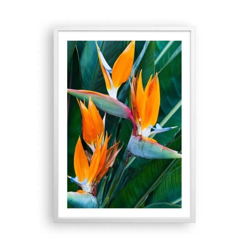 Poster in white frmae - Is It a Flower or a Bird? - 50x70 cm