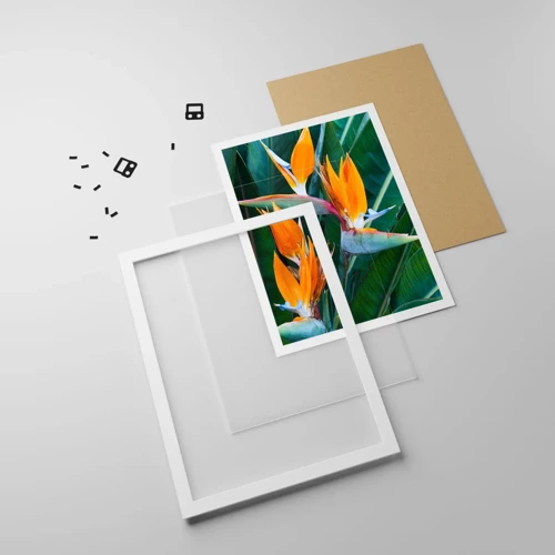 Poster in white frmae - Is It a Flower or a Bird? - 50x70 cm