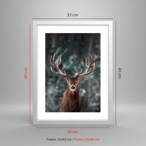 Poster in white frmae - King of Forest Crowned - 30x40 cm