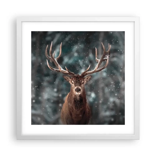Poster in white frmae - King of Forest Crowned - 40x40 cm