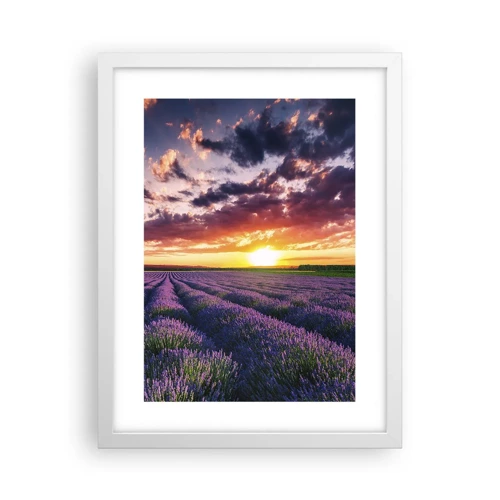 Poster in white frmae - Lavender World - 30x40 cm