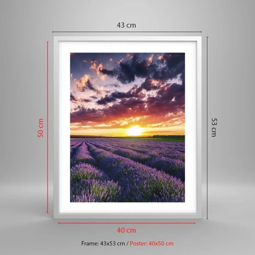 Poster in white frmae - Lavender World - 40x50 cm