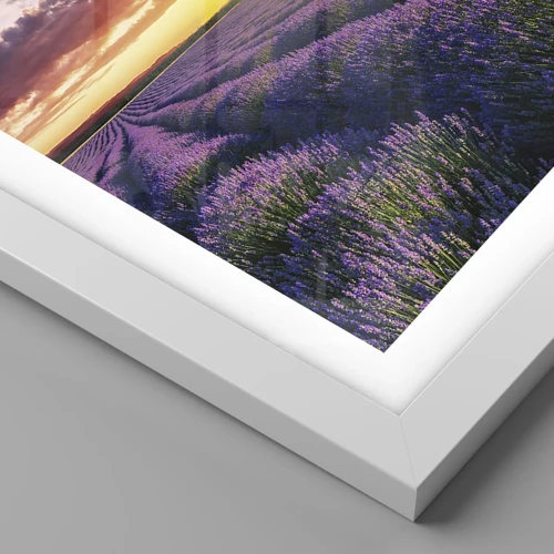 Poster in white frmae - Lavender World - 50x70 cm