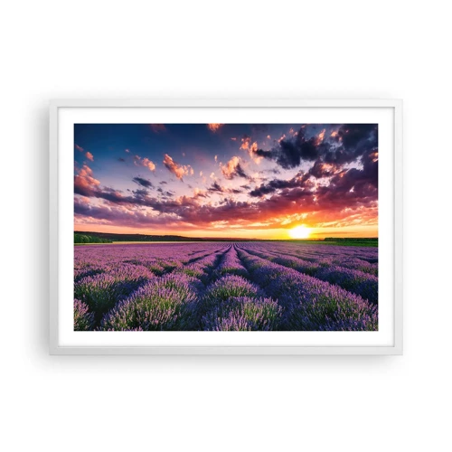 Poster in white frmae - Lavender World - 70x50 cm