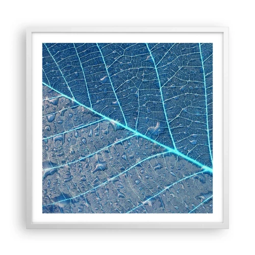 Poster in white frmae - Life in the Blue - 60x60 cm