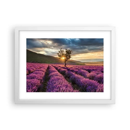 Poster in white frmae - Lilac Coloured Aroma - 40x30 cm