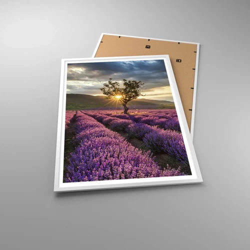 Poster in white frmae - Lilac Coloured Aroma - 70x100 cm