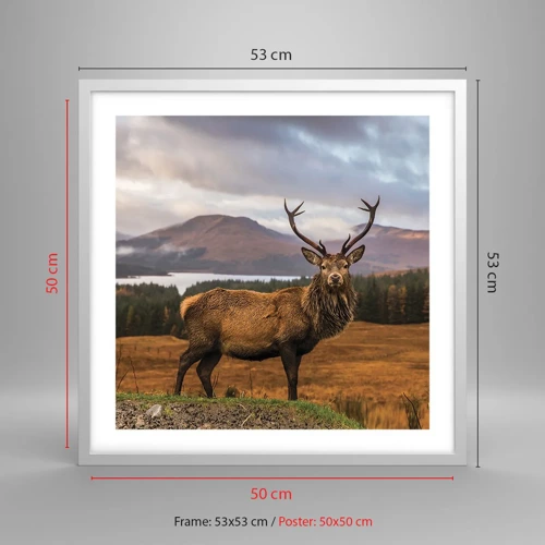 Poster in white frmae - Majesty of Nature - 50x50 cm