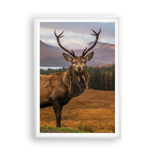 Poster in white frmae - Majesty of Nature - 70x100 cm