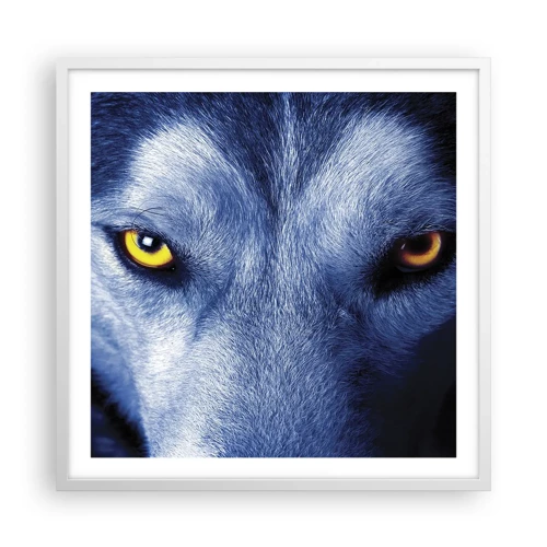 Poster in white frmae - Mesmerising Look - 60x60 cm
