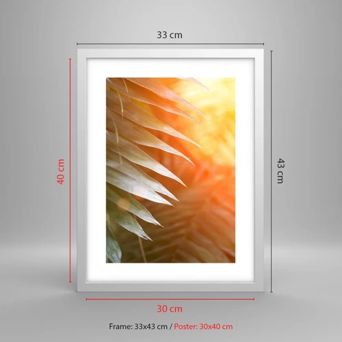 Poster in white frmae - Morning in the Jungle - 30x40 cm