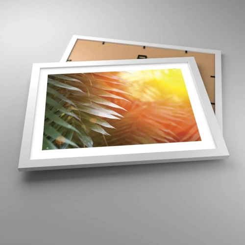 Poster in white frmae - Morning in the Jungle - 40x30 cm