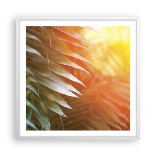 Poster in white frmae - Morning in the Jungle - 60x60 cm