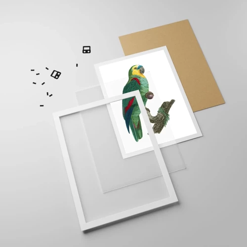 Poster in white frmae - Parrot Portrait - 30x40 cm