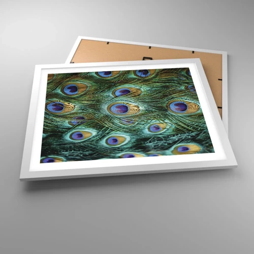 Poster in white frmae - Peacock Eyes - 50x40 cm