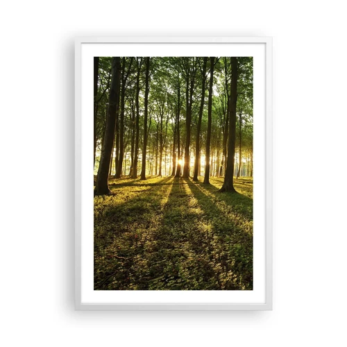 Poster in white frmae - Photography of All Springs - 50x70 cm