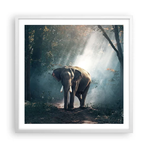 Poster in white frmae - Quiet Stroll - 60x60 cm